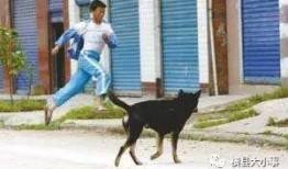 野狗爆料薯片视频大全,薯片视频大全，揭秘美食背后的秘密